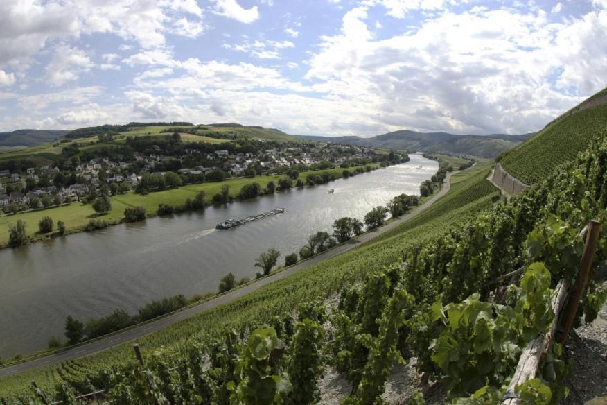 Weingut Fehres Leilighet Brauneberg Eksteriør bilde